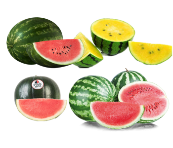 angurie_strafrutta_perlanera_fondi_mof