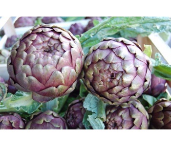 carciofi_strafrutta