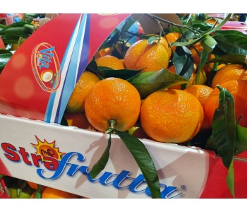 clementine strafrutta 1