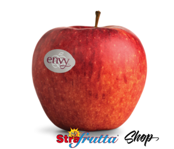 envy_scilte-strafrutta-vendita-online