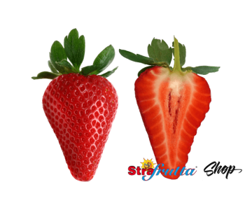 fragola candonga-strafrutta-stradoro-consegna-domicilio-vendita-online