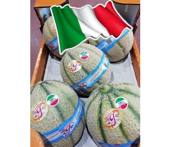 melone-sugar-proteo-italiano-vendita-online-consegna-domicilio-2021