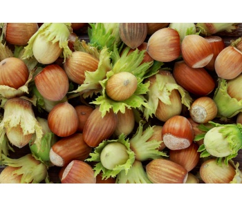 nocciole-strafrutta