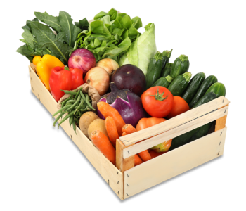 ortaggi-locali-fondi-latina-lazio-strafrutta
