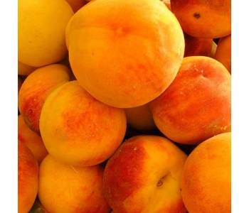 pesche-percoche-strafrutta-puglia-2