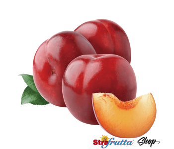 susine-rosse-ruby-strafrutta-online-frutta-fondi-lt