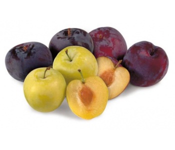 susine_nere_gialle_strafrutta_online_frutta